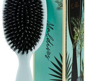 Fan Palm - Hair Brush Medium - Maldives Discount