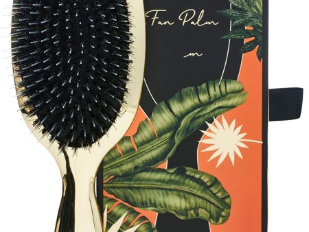 Fan Palm - Hair Brush Medium - Hollywood For Cheap