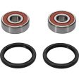 Pivot Works Pw Premium Wheel Bearing Online Hot Sale